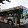 WDW バス Disney Transport