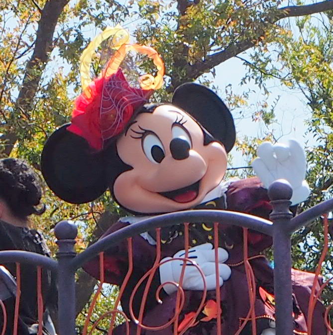 スプーキー Boo パレード鑑賞まとめ いつから待った どこから見た 本日のディズニー
