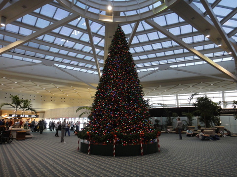 WDW_クリスマスデコレーション_オーランド空港