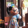 アウラニ　マカヒキ　ミニー
