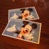 東京ディズニーリゾート パスポート