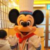 シェフミッキー ミッキー アップ